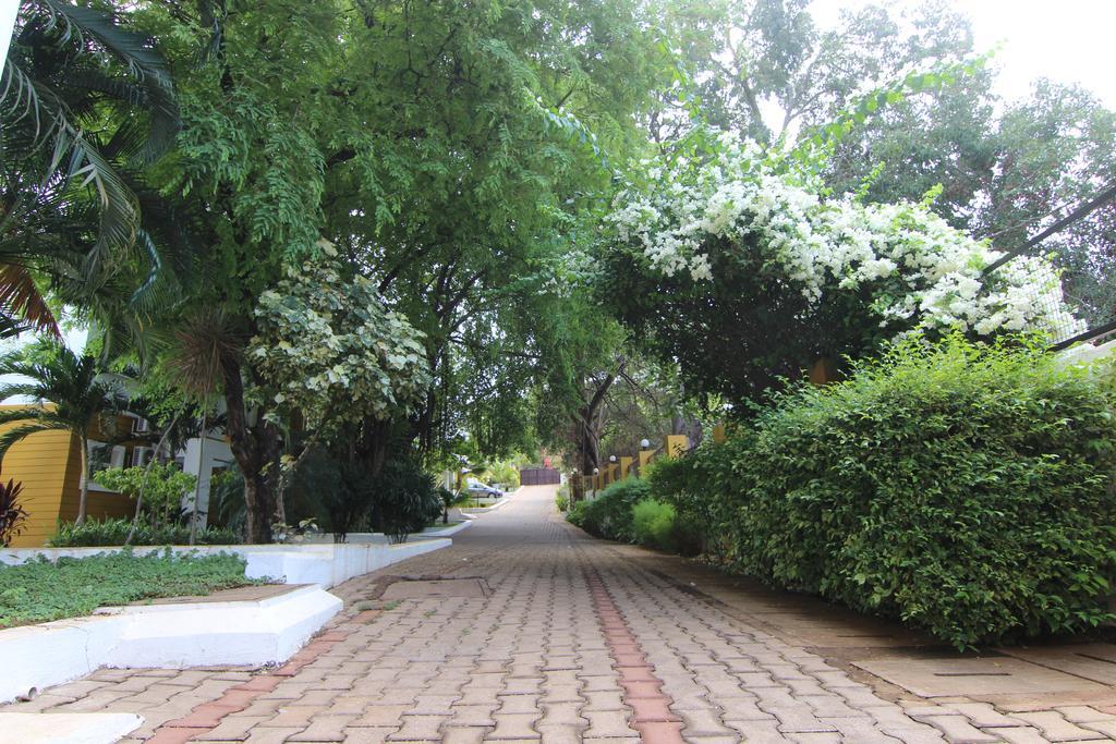 Rainforest - Casa Del Sol, Anjuna - 3 Kms From The Beach 外观 照片